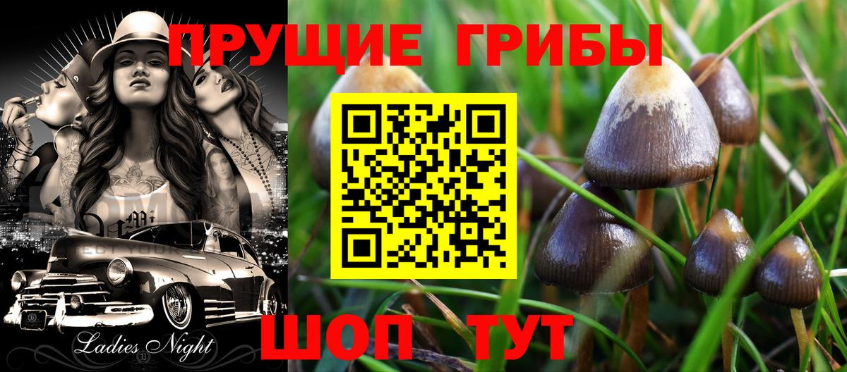 Галлюциногенные грибы MAGIC MUSHROOMS  Вход с VPN  Нижнекамск 